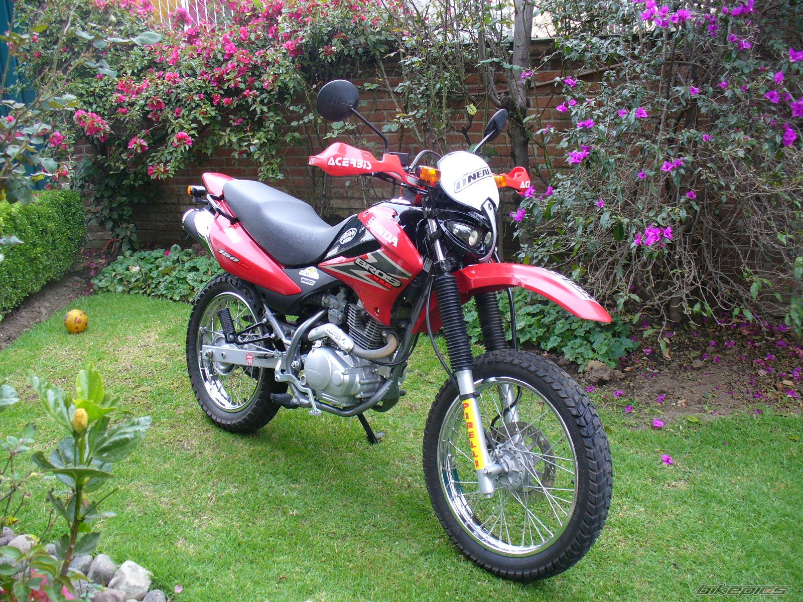 Photo 1111439