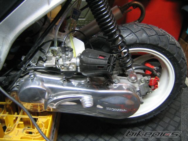 Photo 1111454