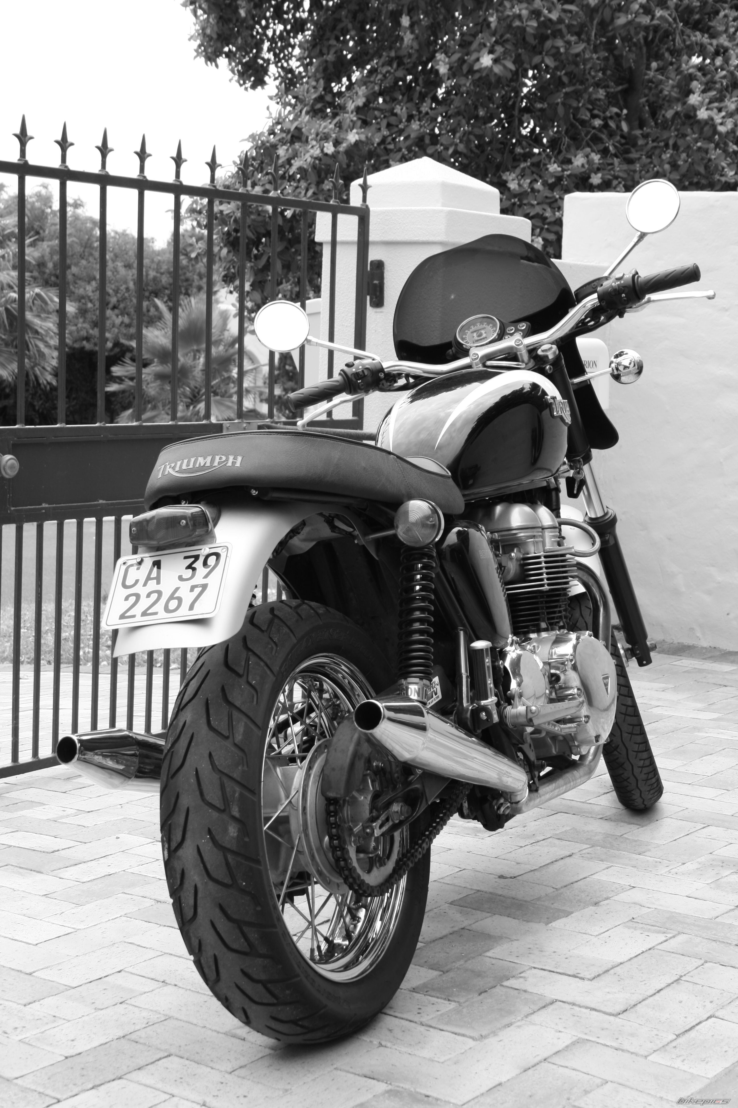 Photo 1111531