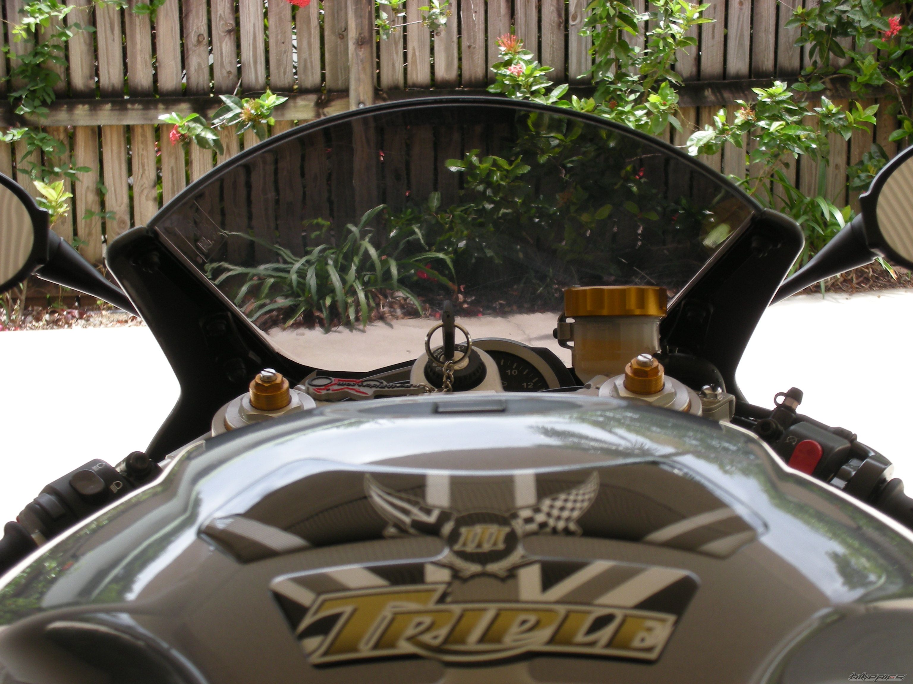 Photo 1111570