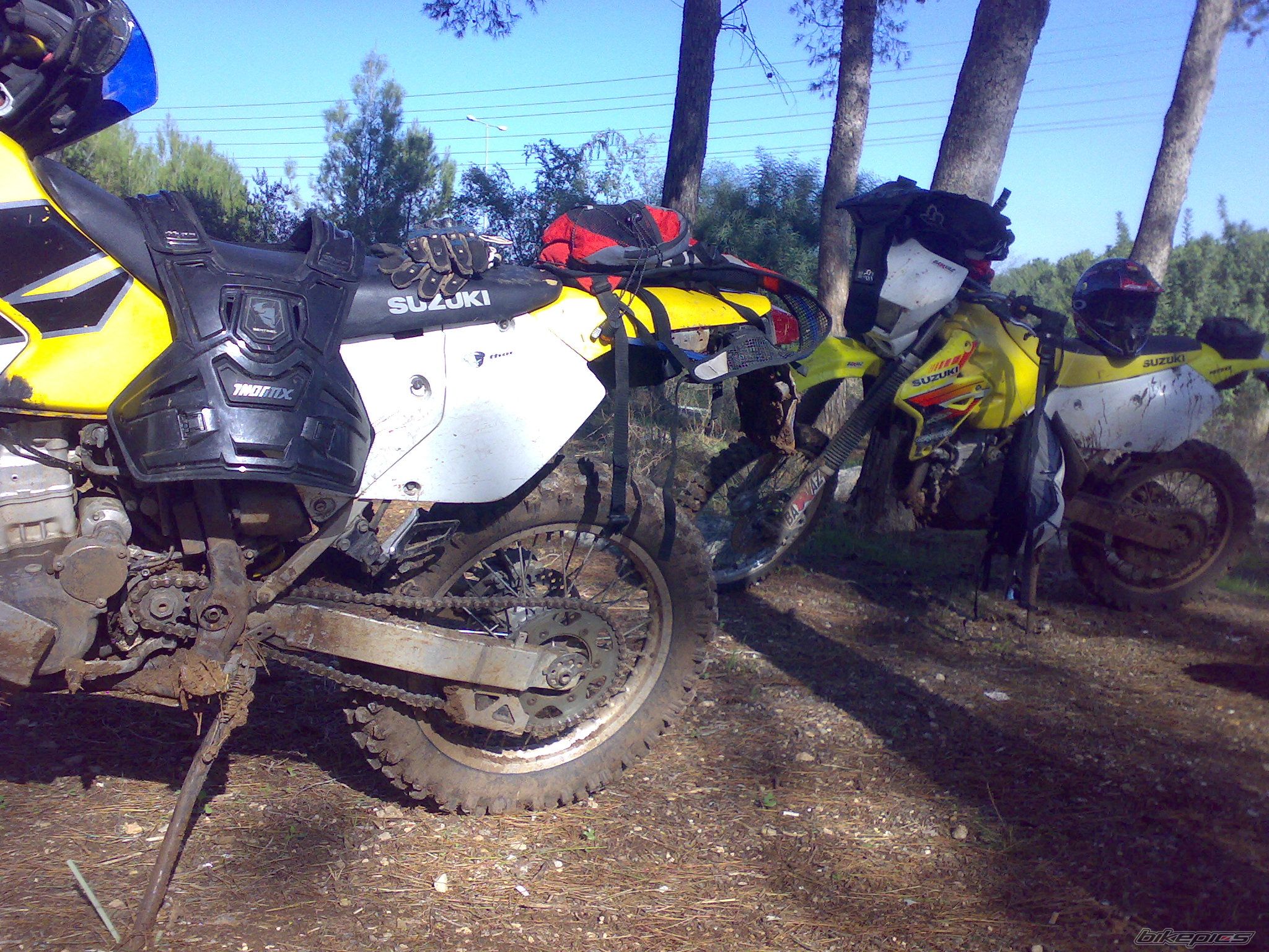 Photo 1111705