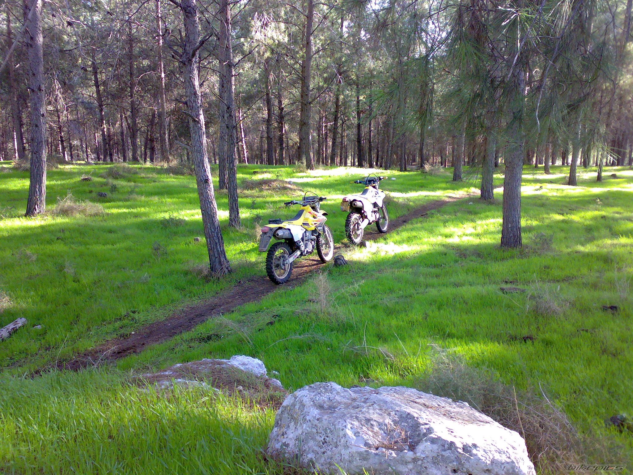 Photo 1111733