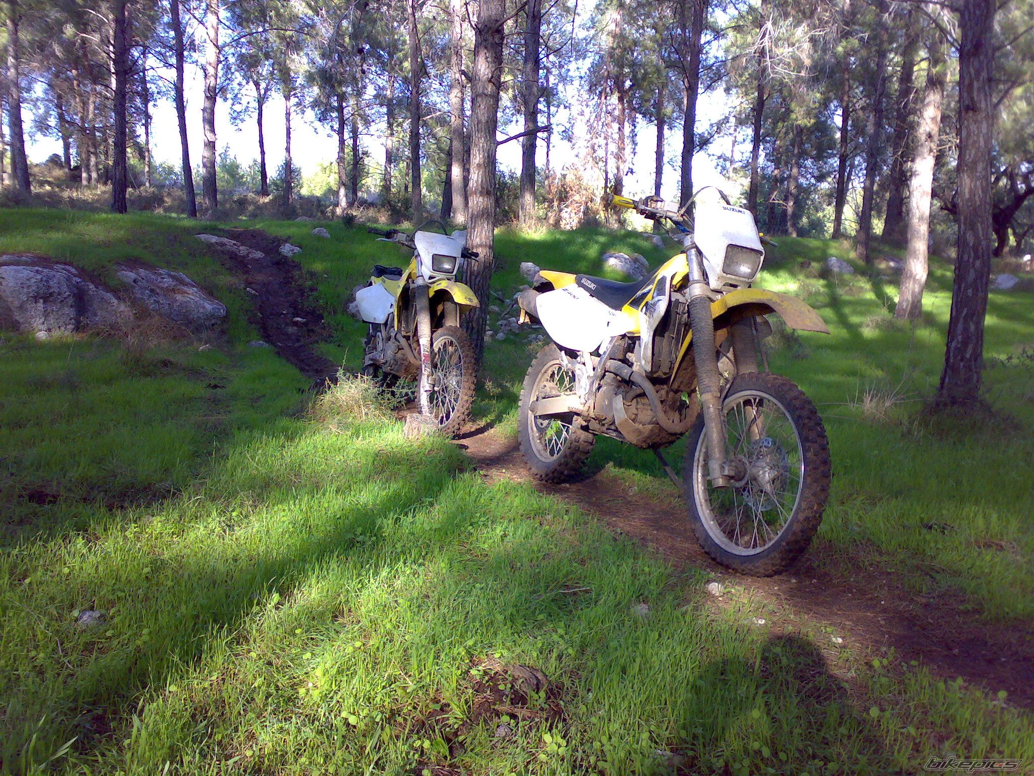 Photo 1111741