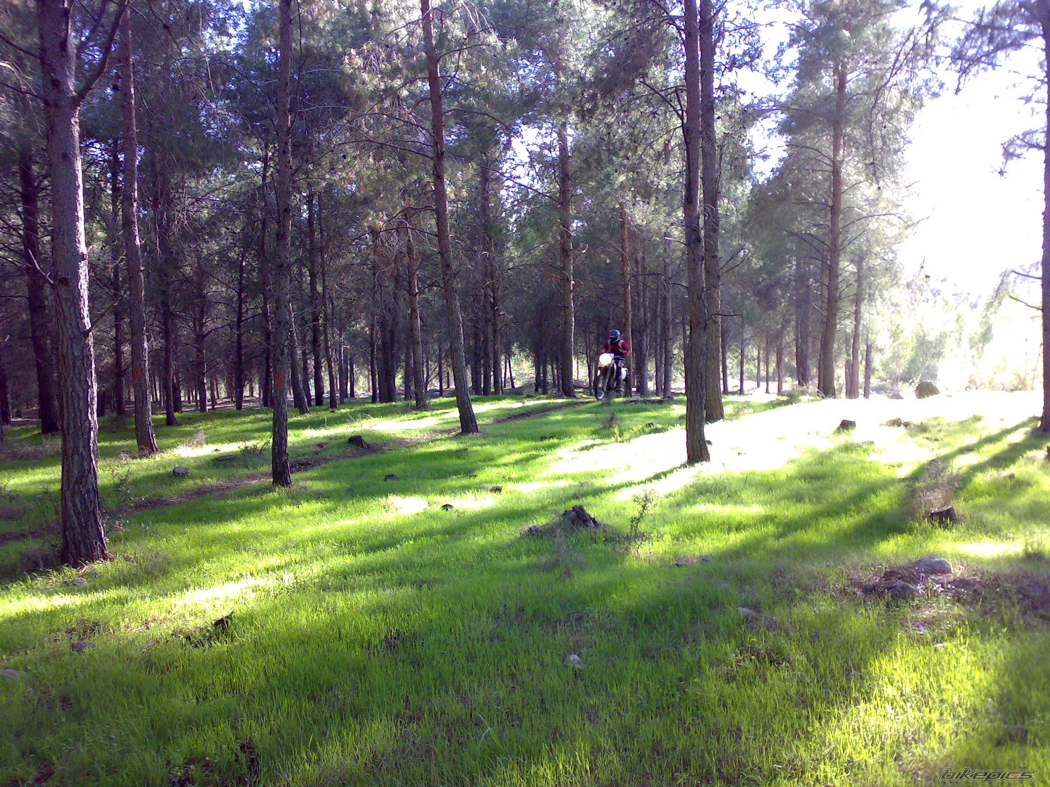 Photo 1111759