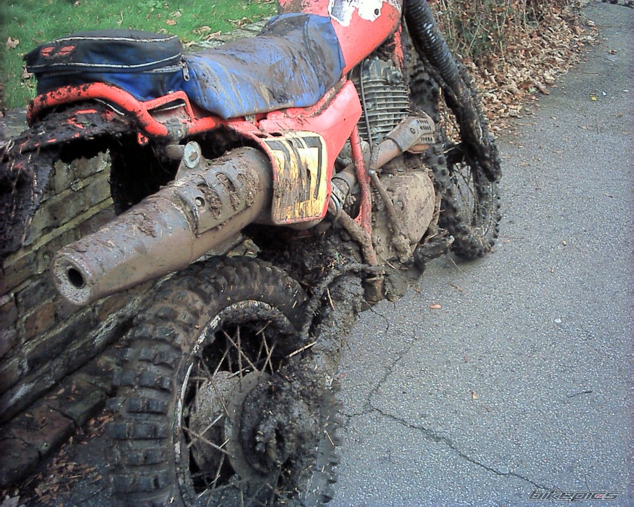 Photo 1111883