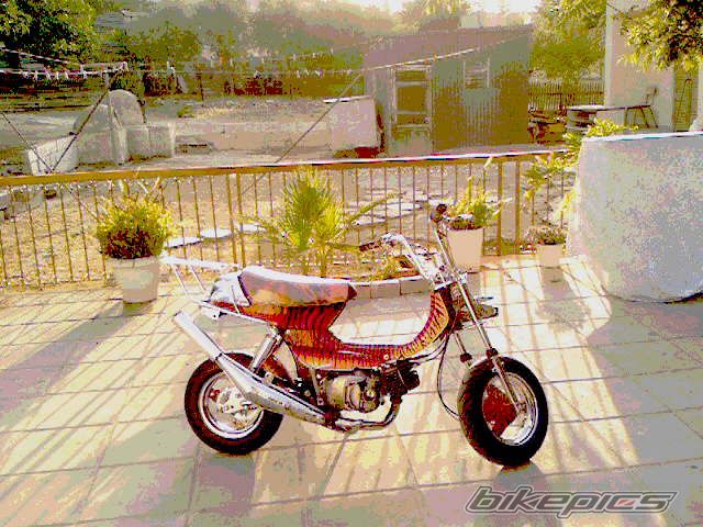 Bike Photo 1111972