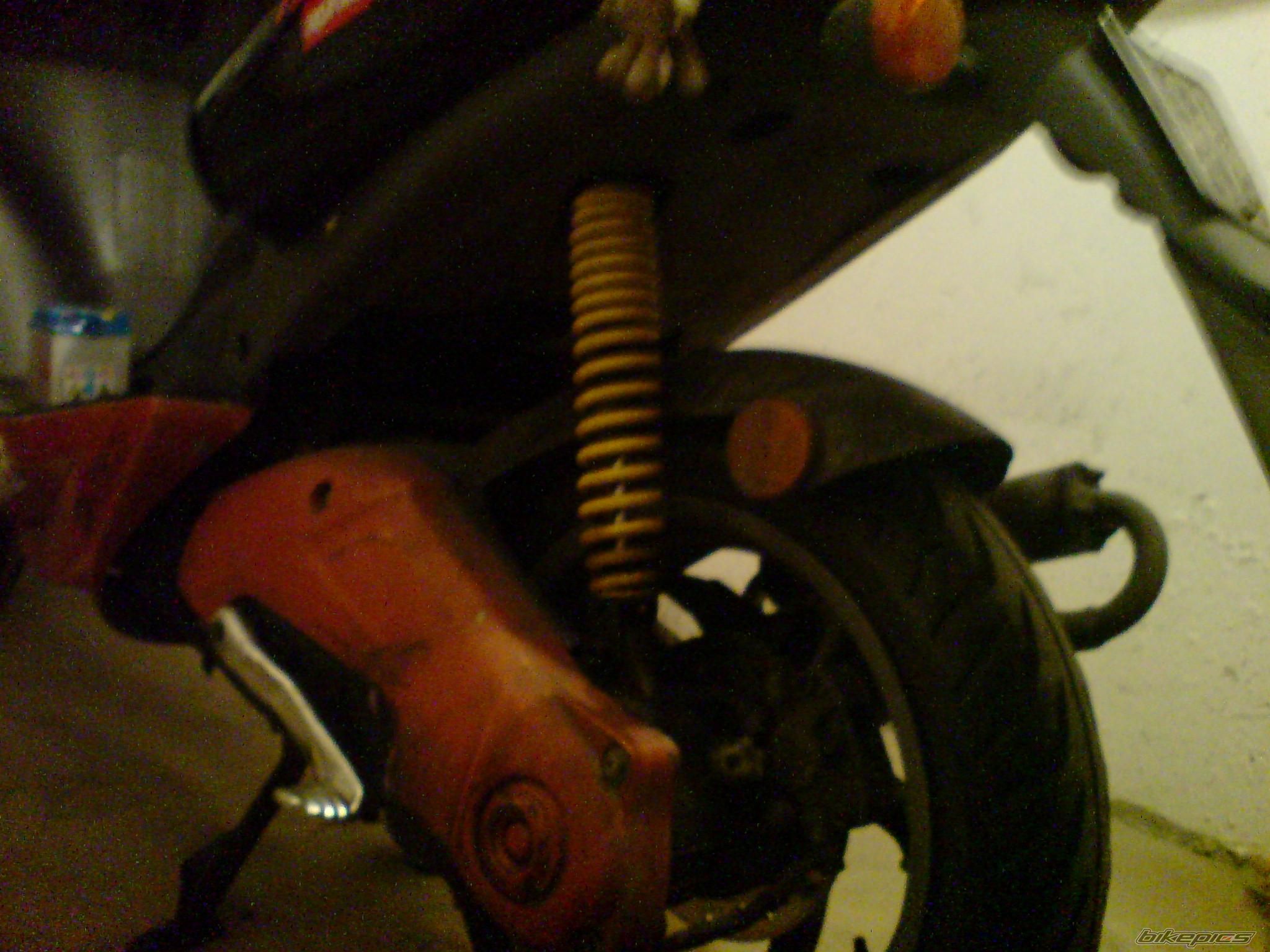 Photo 1111982