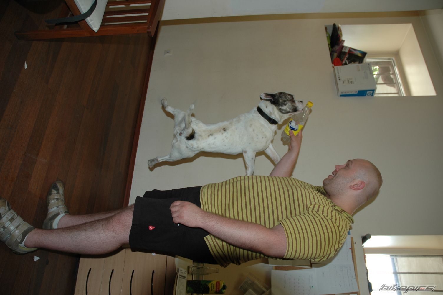 Photo 1112320