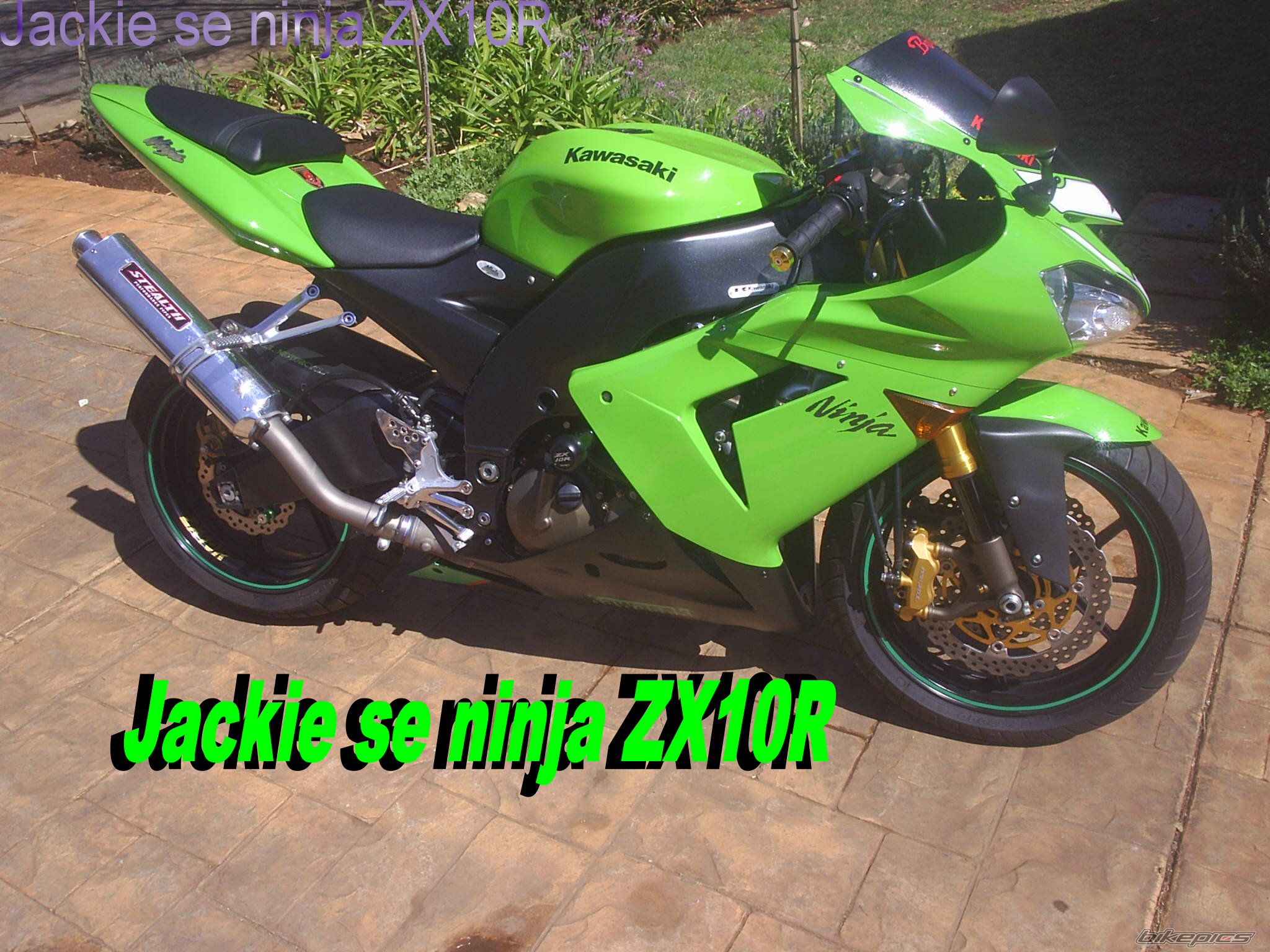 Photo 1112493