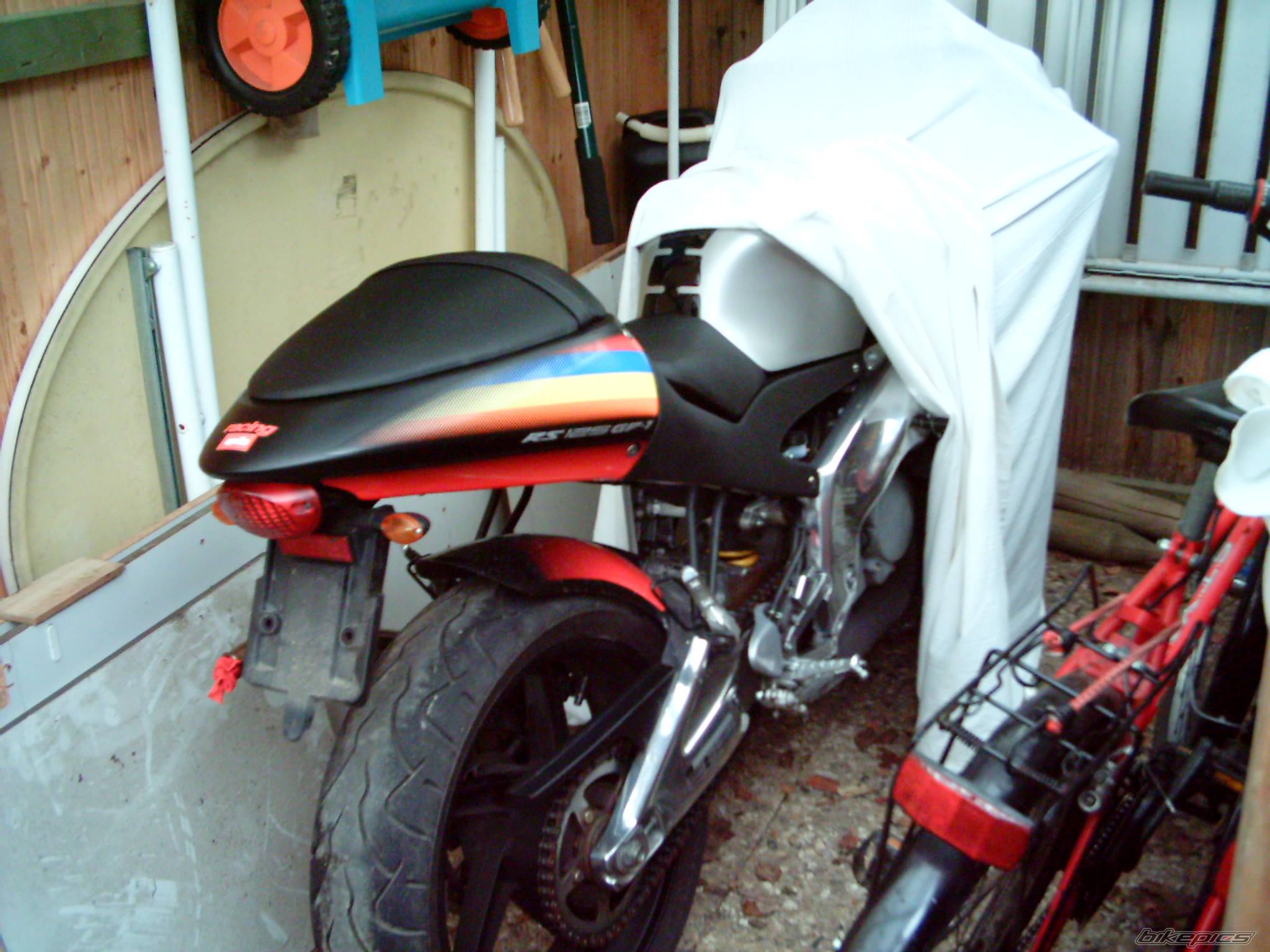 Photo 111281