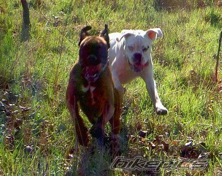 Photo 1112858