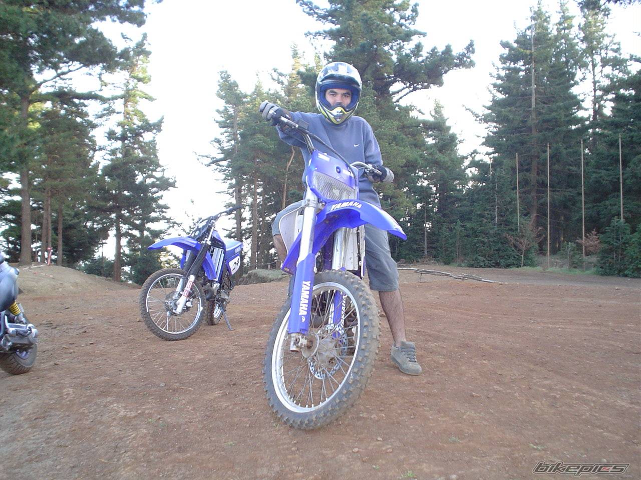 Photo 111297
