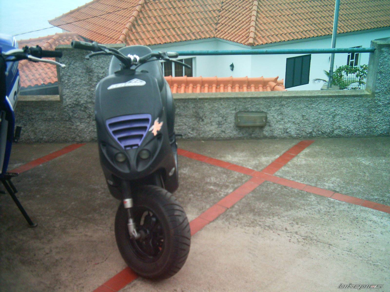 Photo 111298