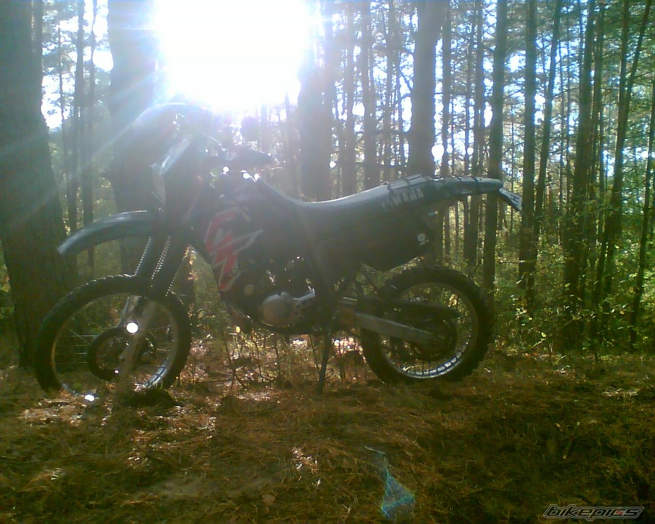 Photo 1113003