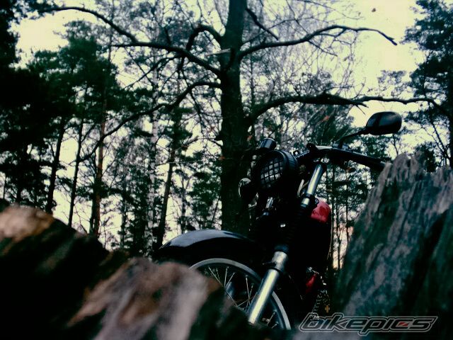 Bike Photo 1113056