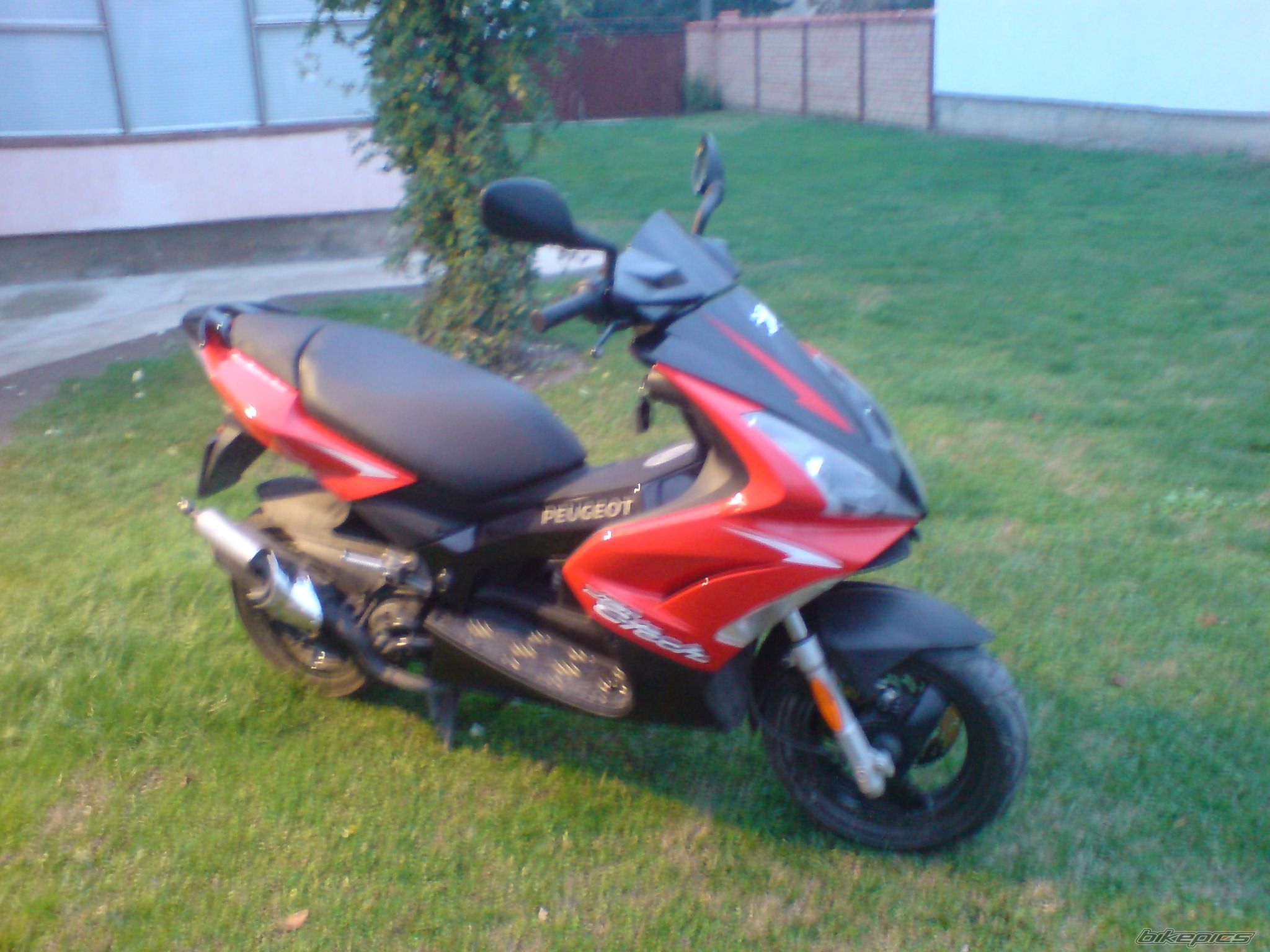 Photo 1113203