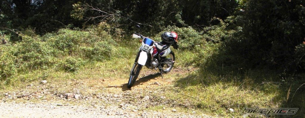 Bike Photo 1113206