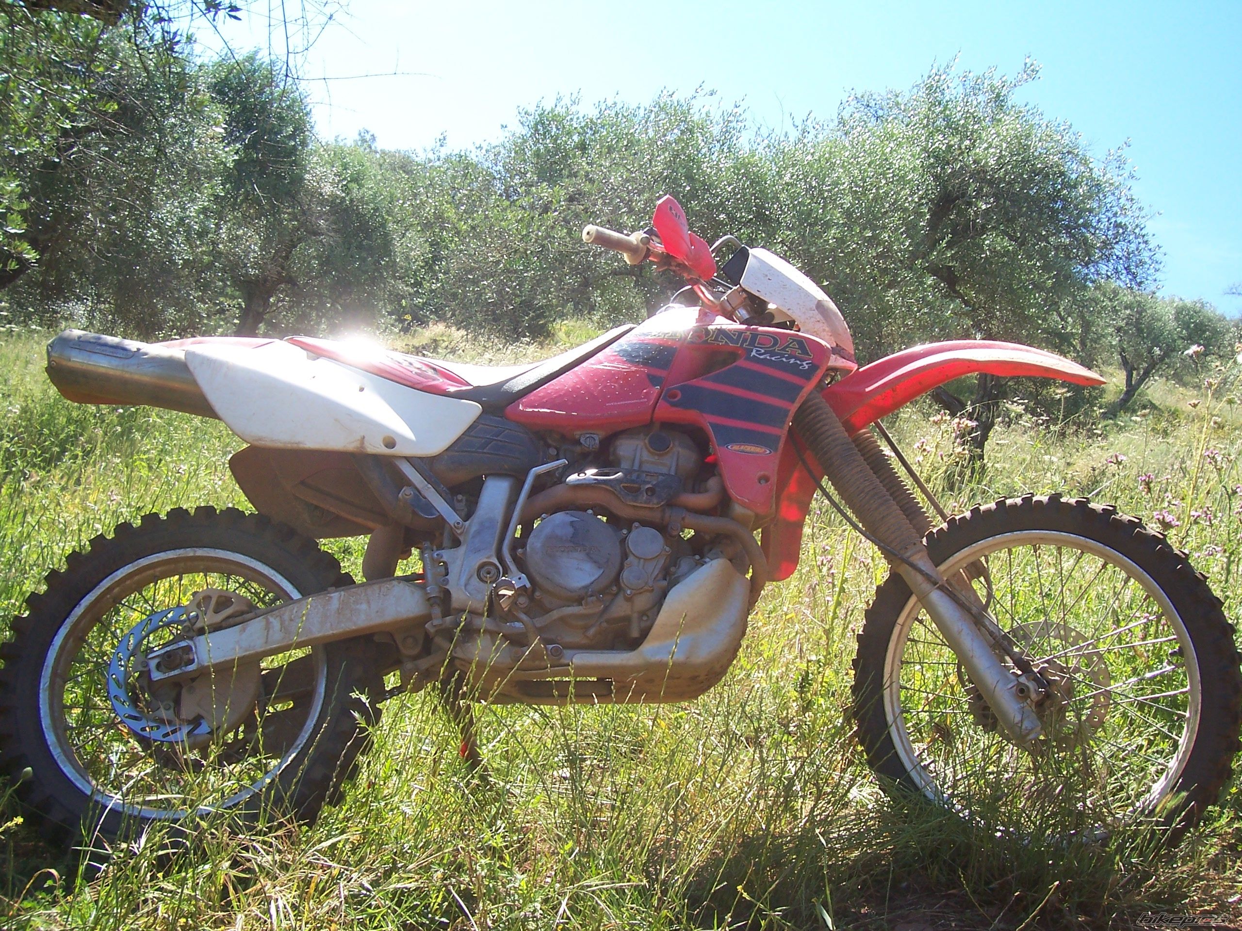 Bike Photo 1113300