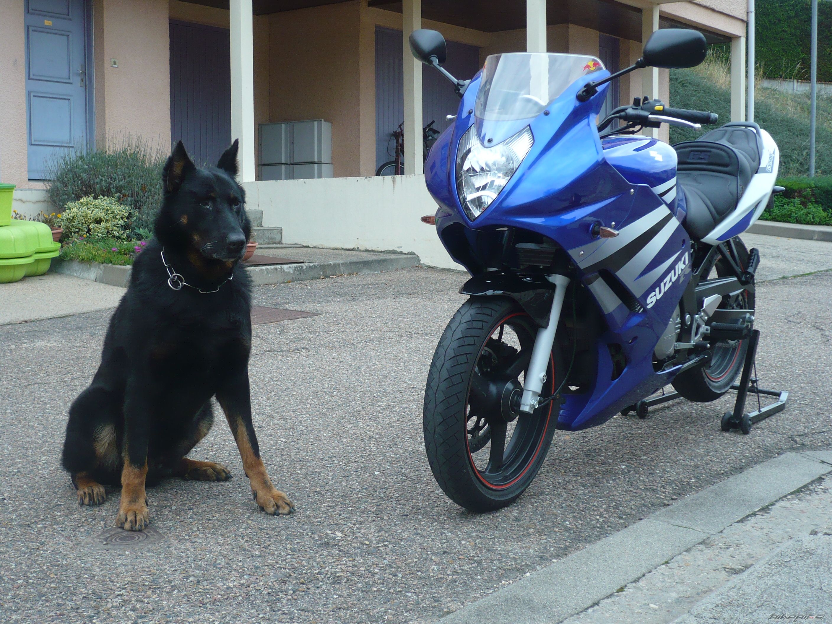 Bike Photo 1113385
