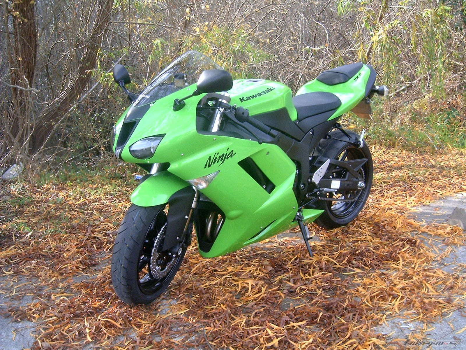 Bike Photo 1113405
