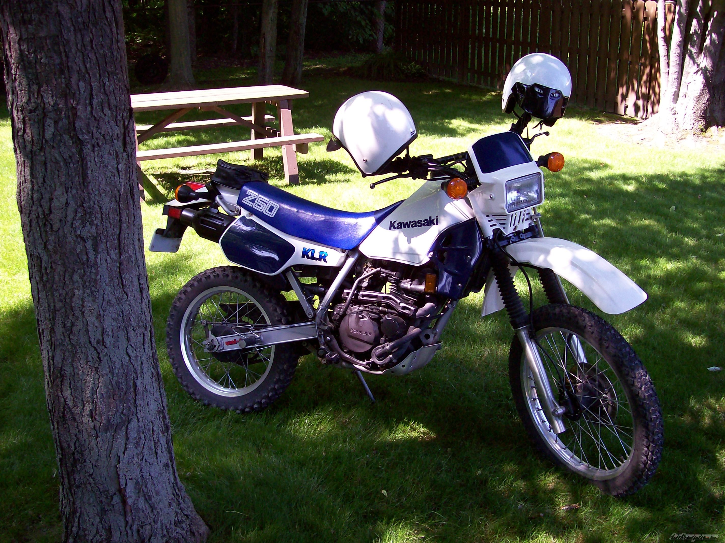 Photo 1113497