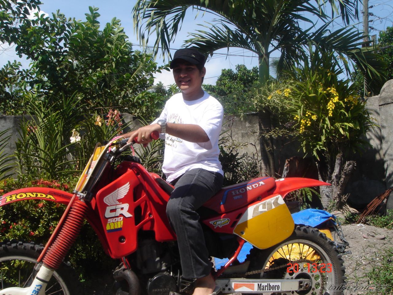 Photo 1113499