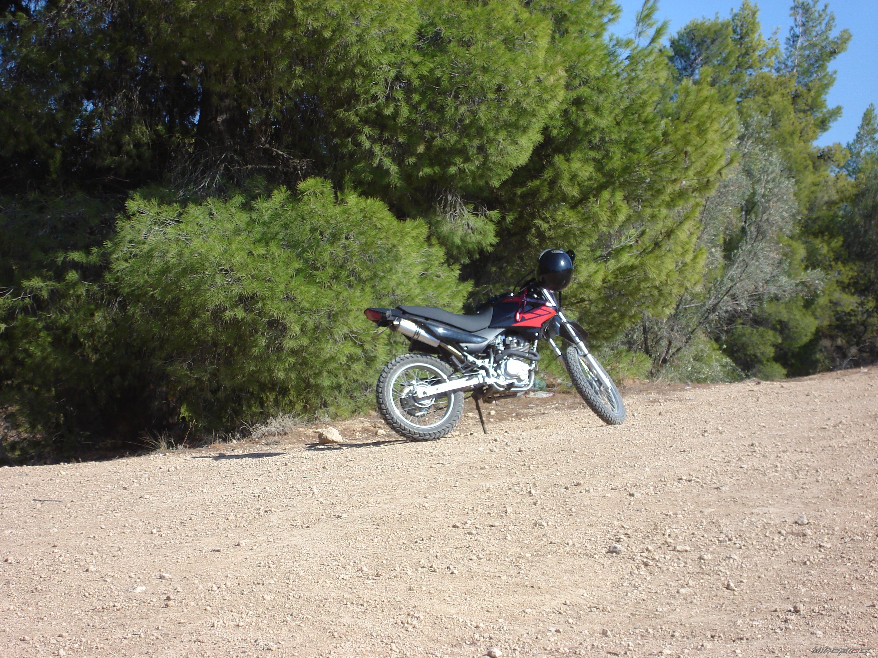 Bike Photo 1113586