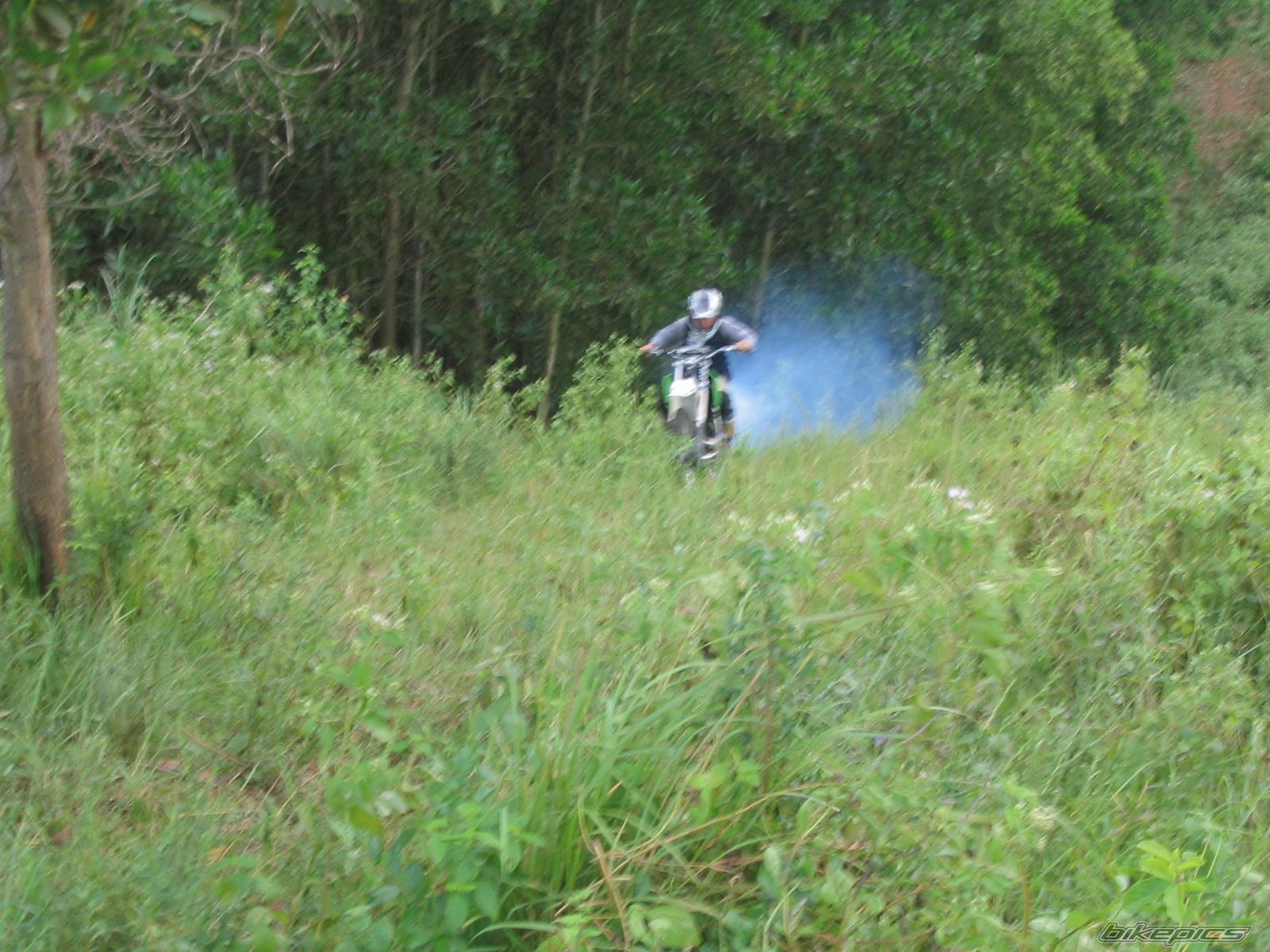 Photo 1113594