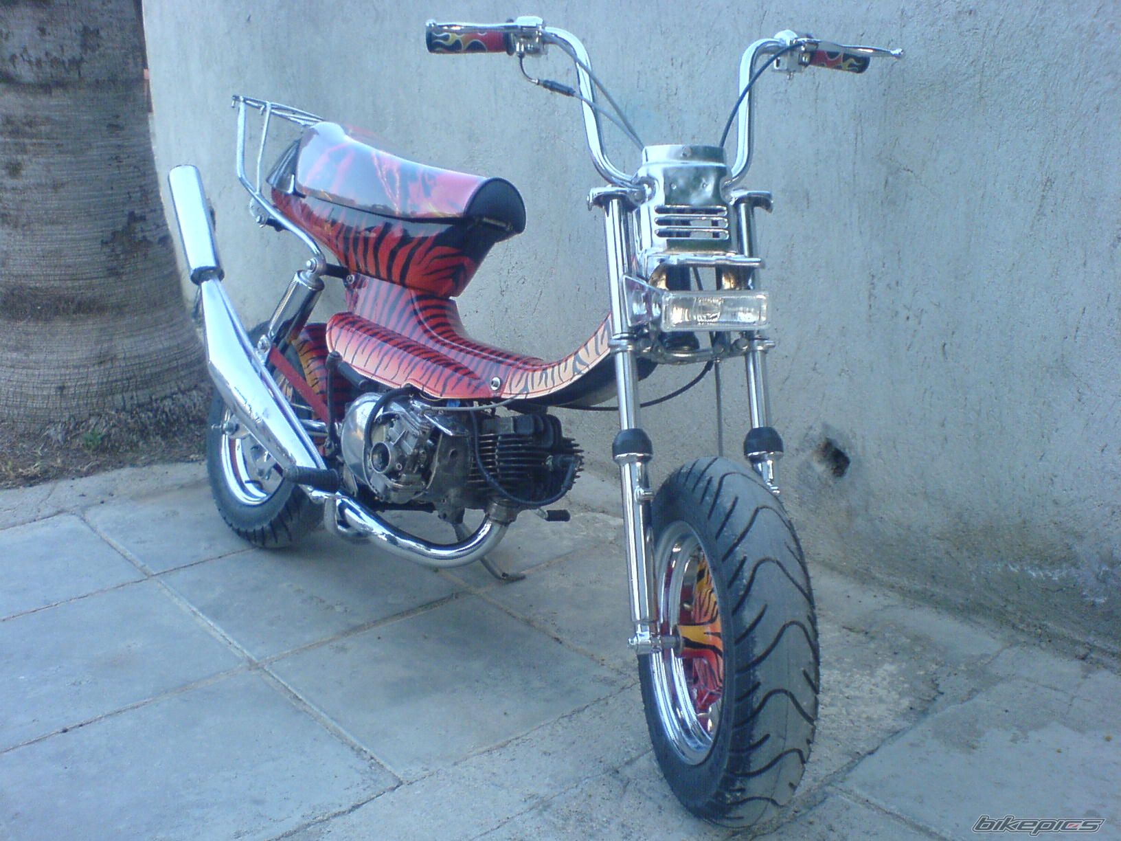 Bike Photo 1113627