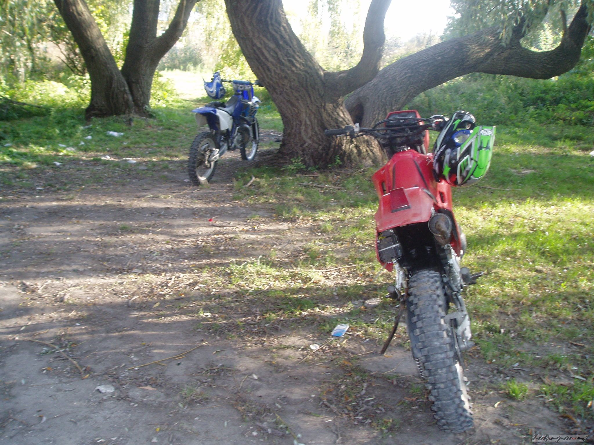 Bike Photo 1113652