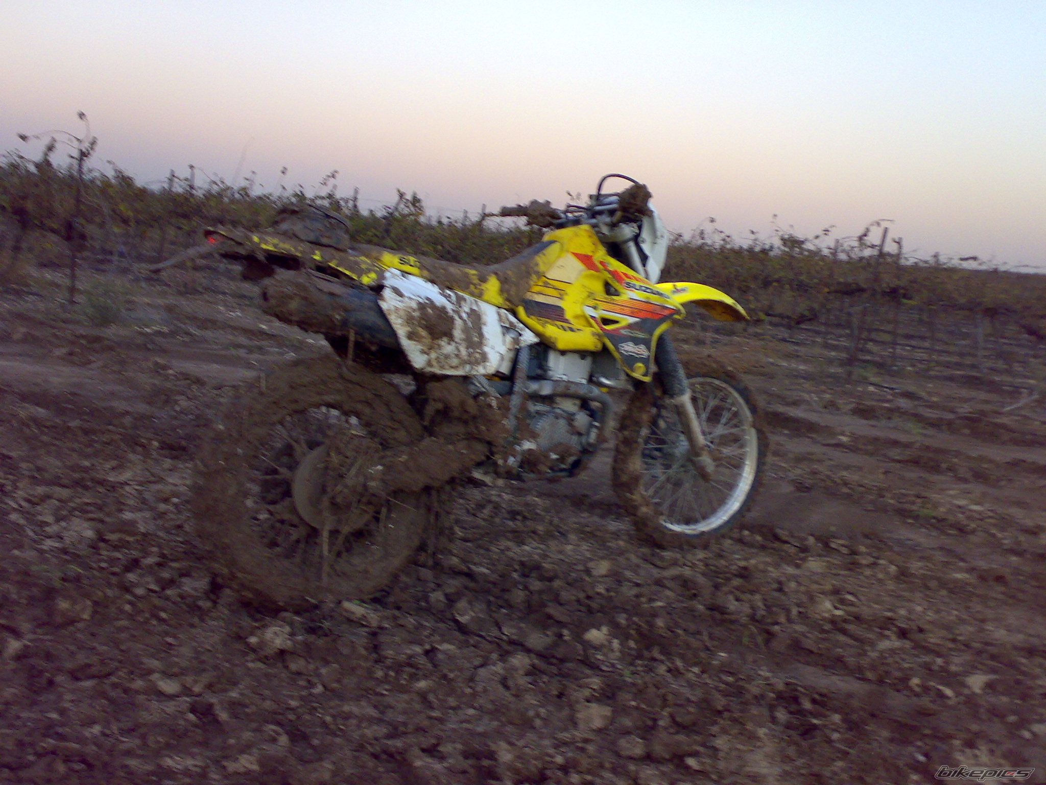 Photo 1113697