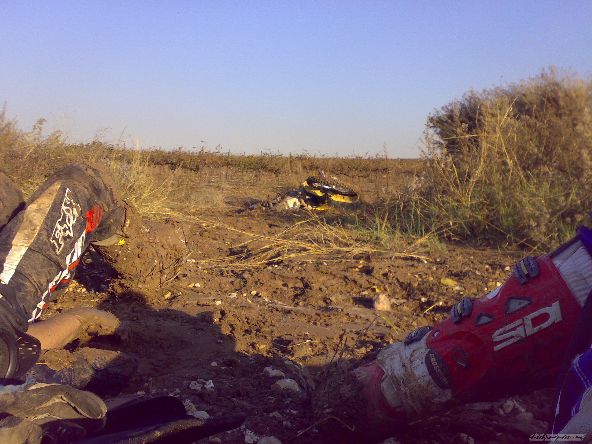 Photo 1113700