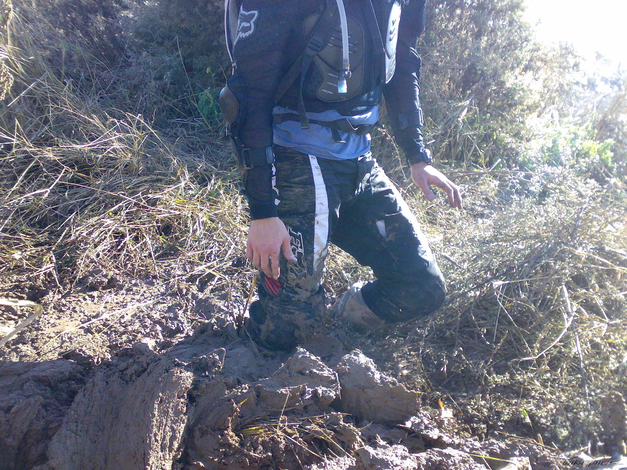 Photo 1113701