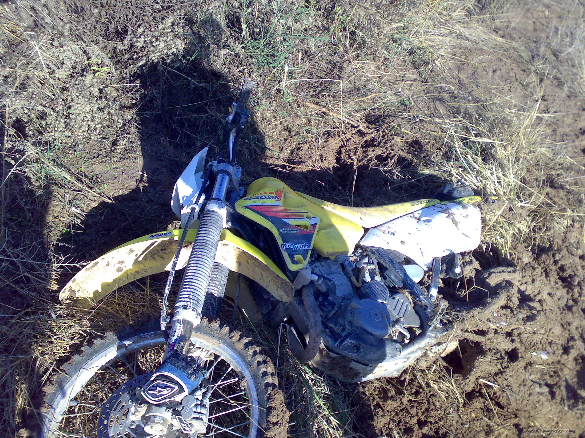 Photo 1113705