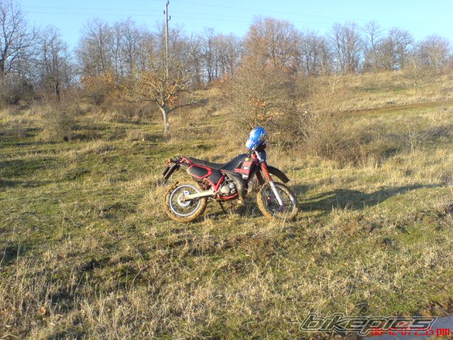 Bike Photo 1113839
