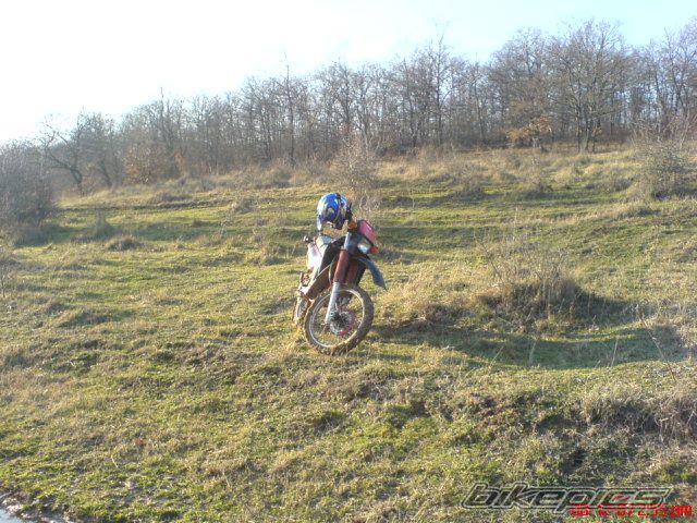Bike Photo 1113841