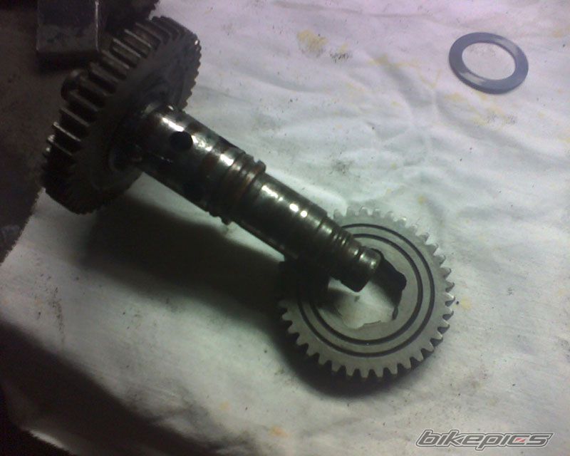 Photo 1113846