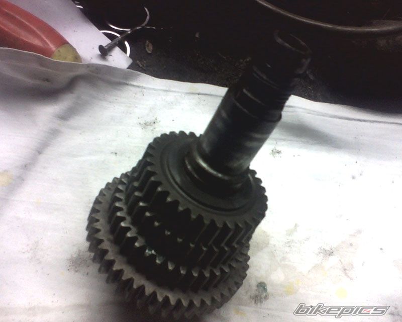 Photo 1113848