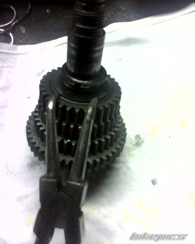 Photo 1113856