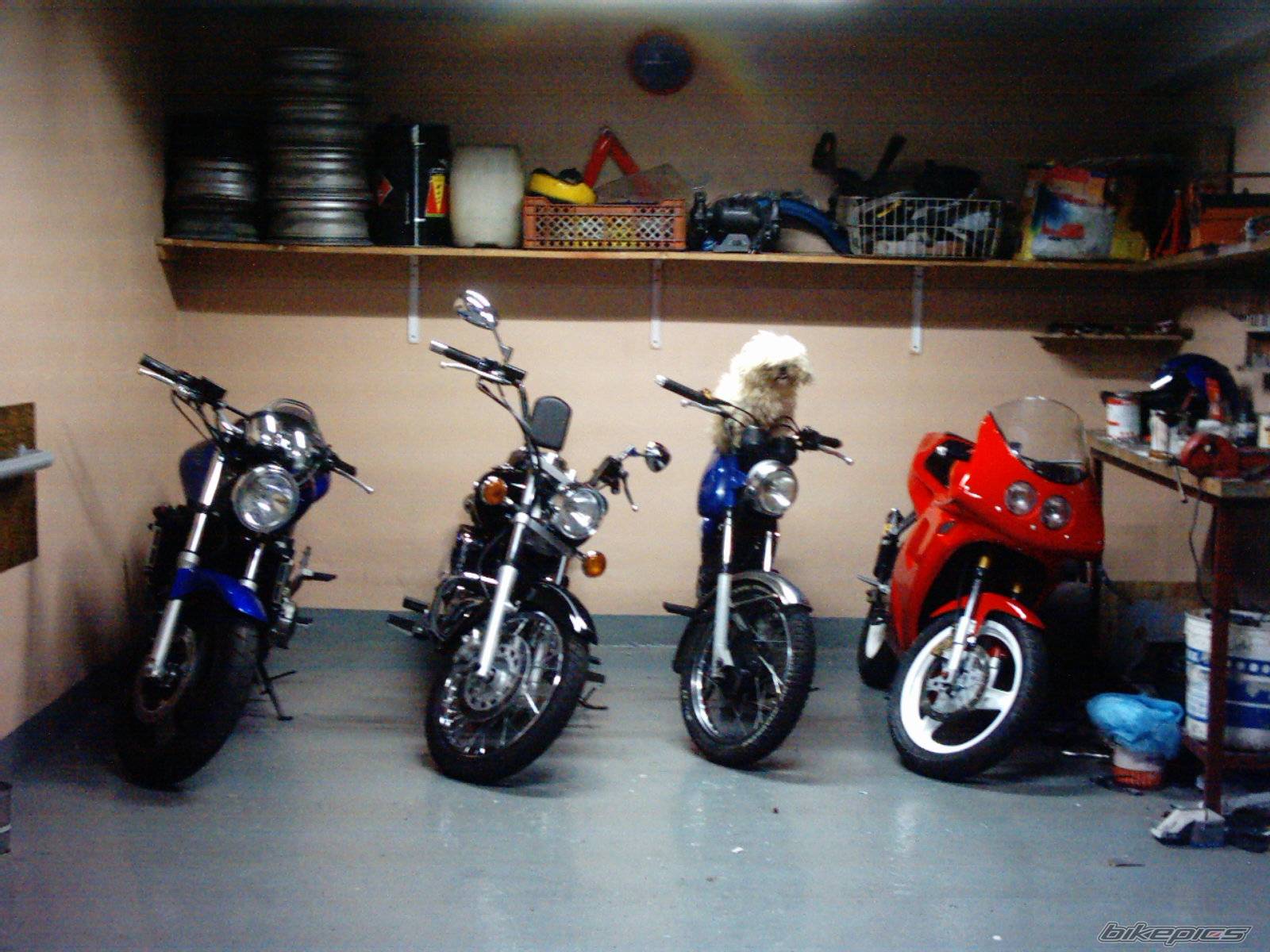 Bike Photo 111386