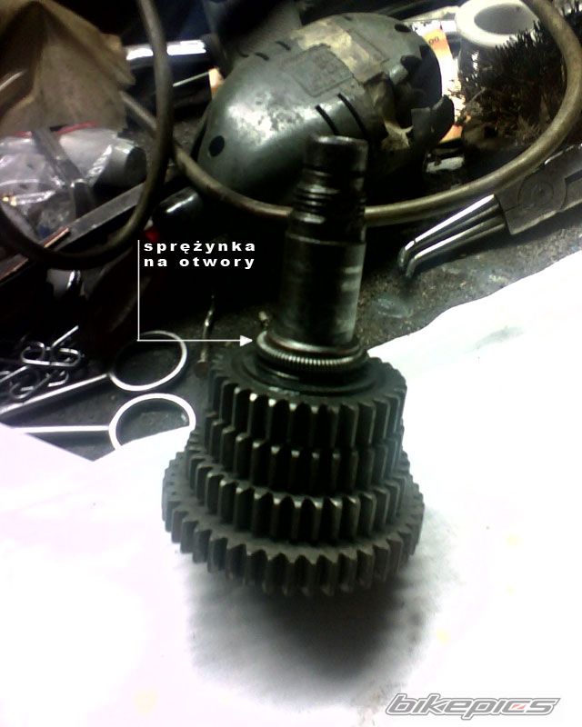 Photo 1113869