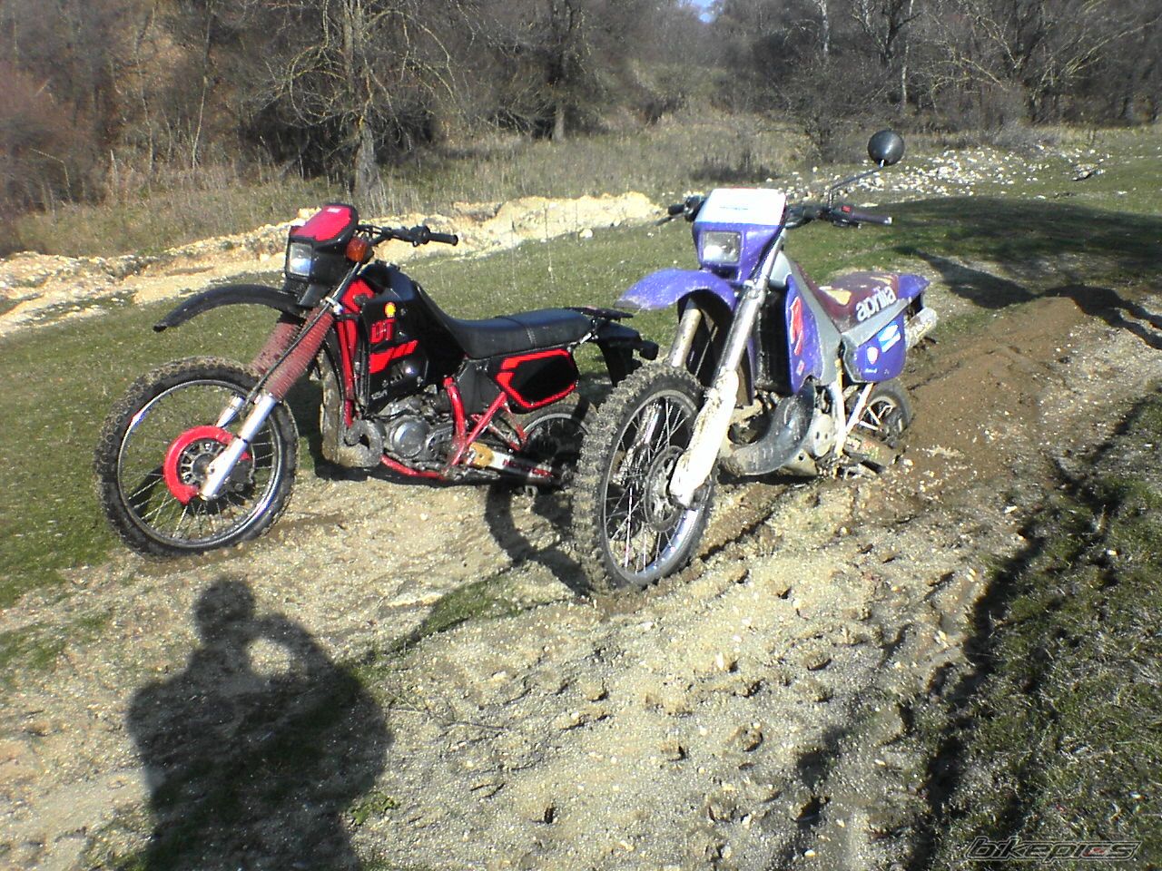 Bike Photo 1113881