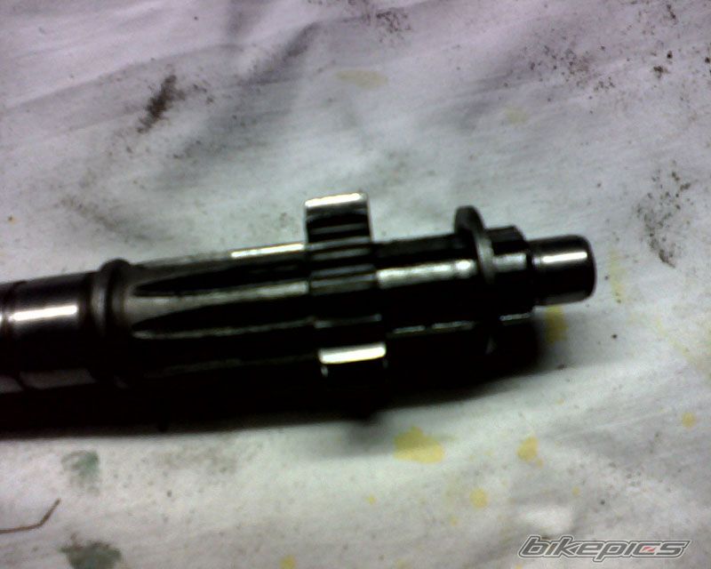 Photo 1113883