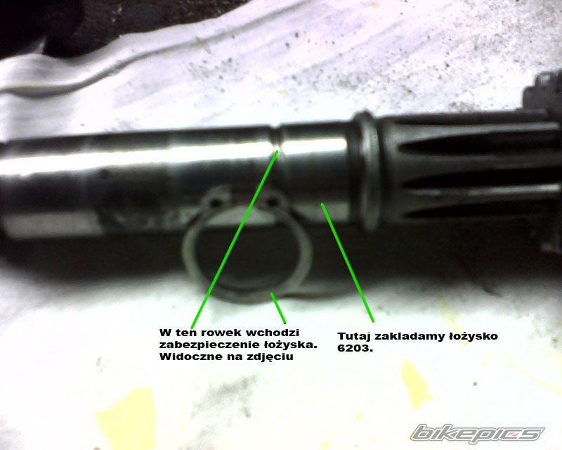 Photo 1113890