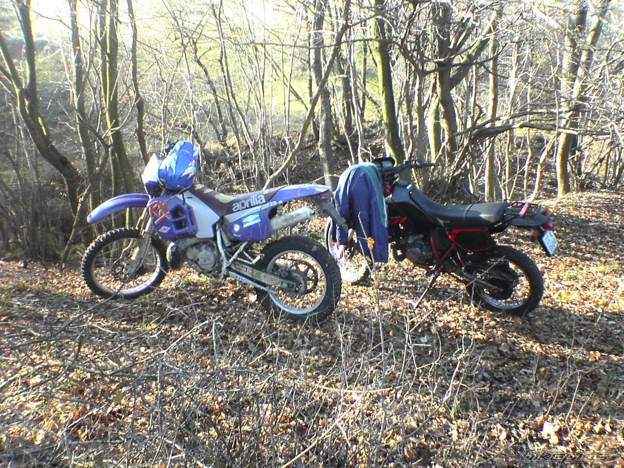 Bike Photo 1113892