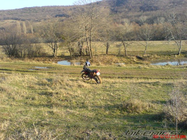 Bike Photo 1113902