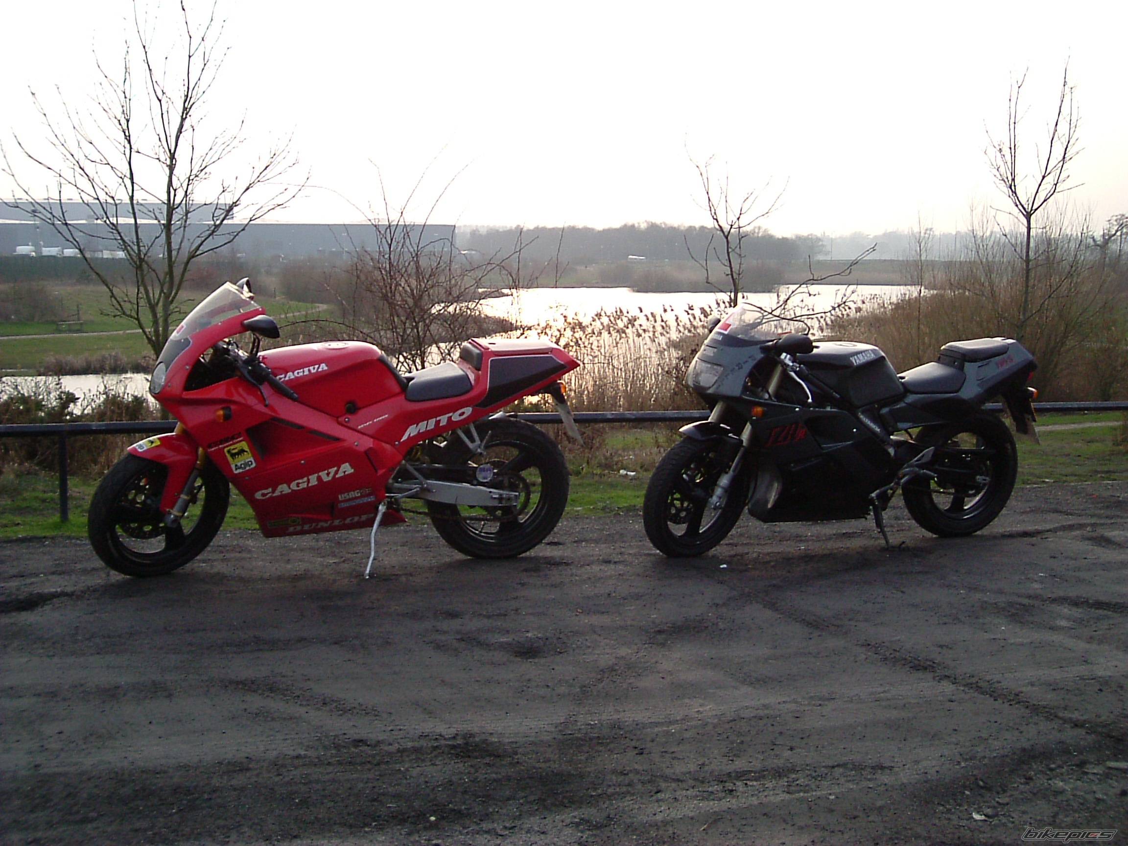 Photo 111397