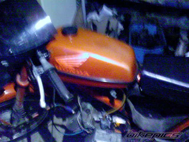Photo 1113988