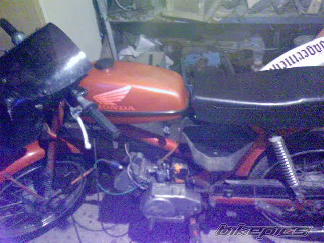 Photo 1113989