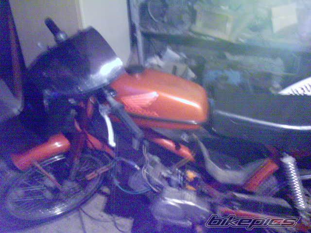 Photo 1113990